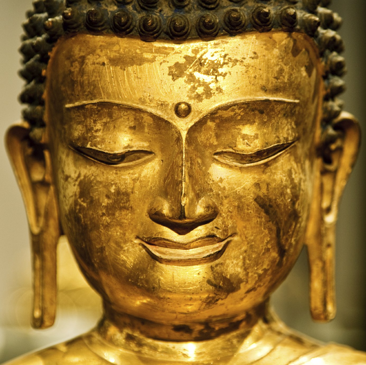 Stretched Earlobes, A Tradition Almost Famous Body Piercing