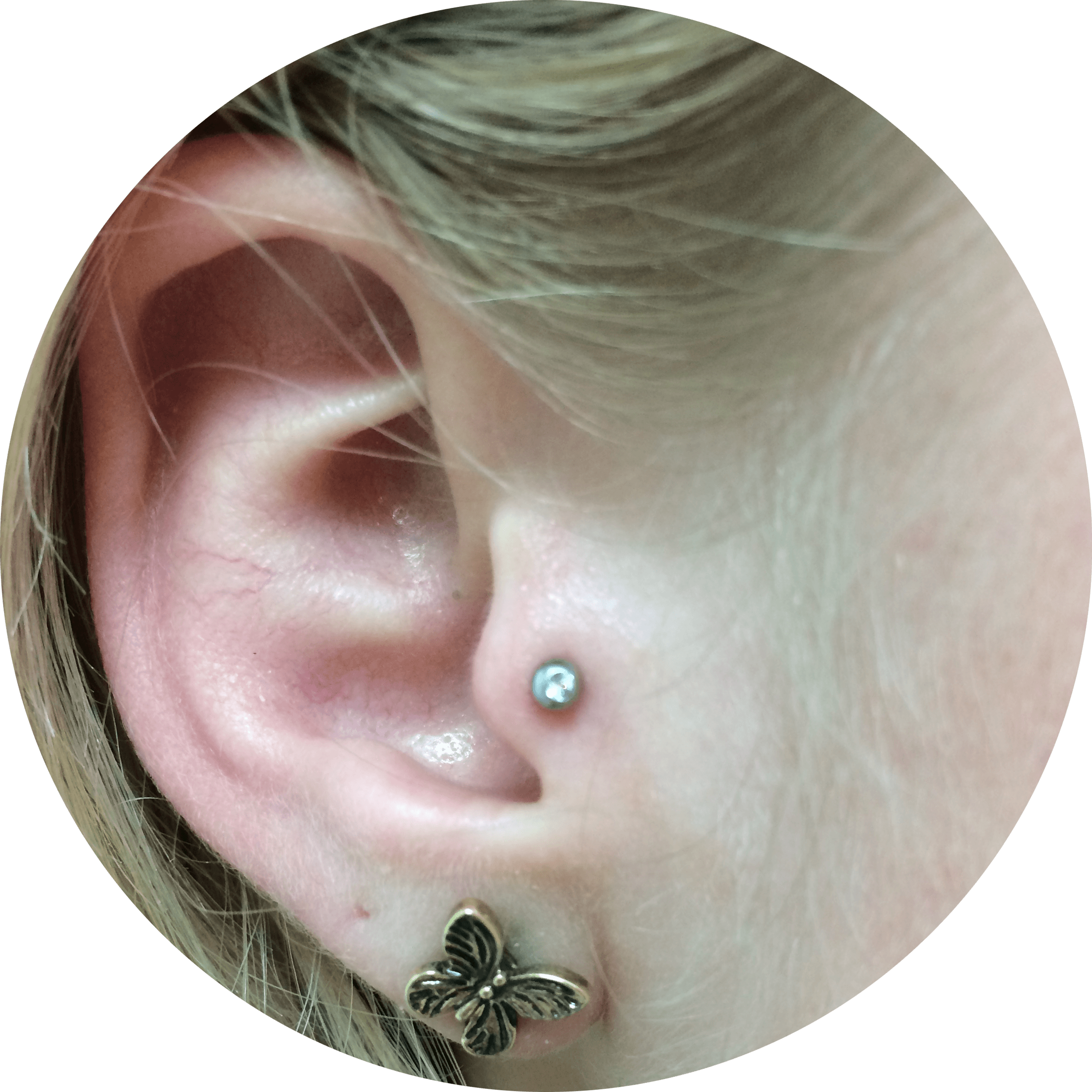 Tragus Piercing MN, ND, IL, & MT | Almost Famous Body Piercing